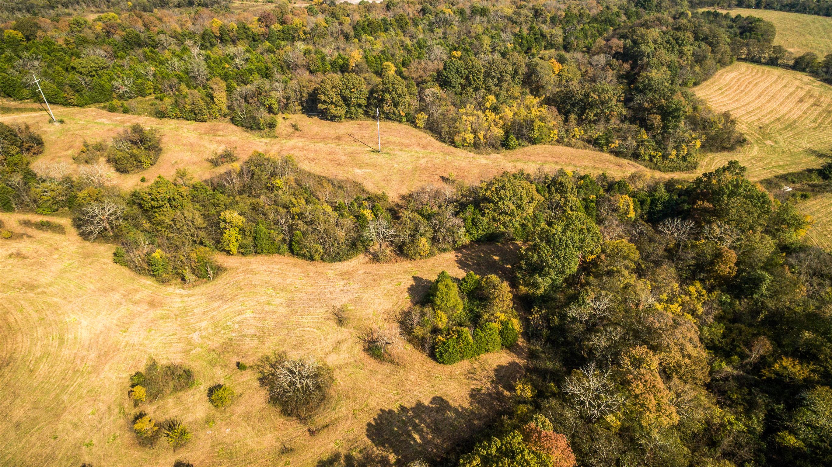 247 Buckeye Loop Lynchburg, TN 37352 - Photo 16 of 21
