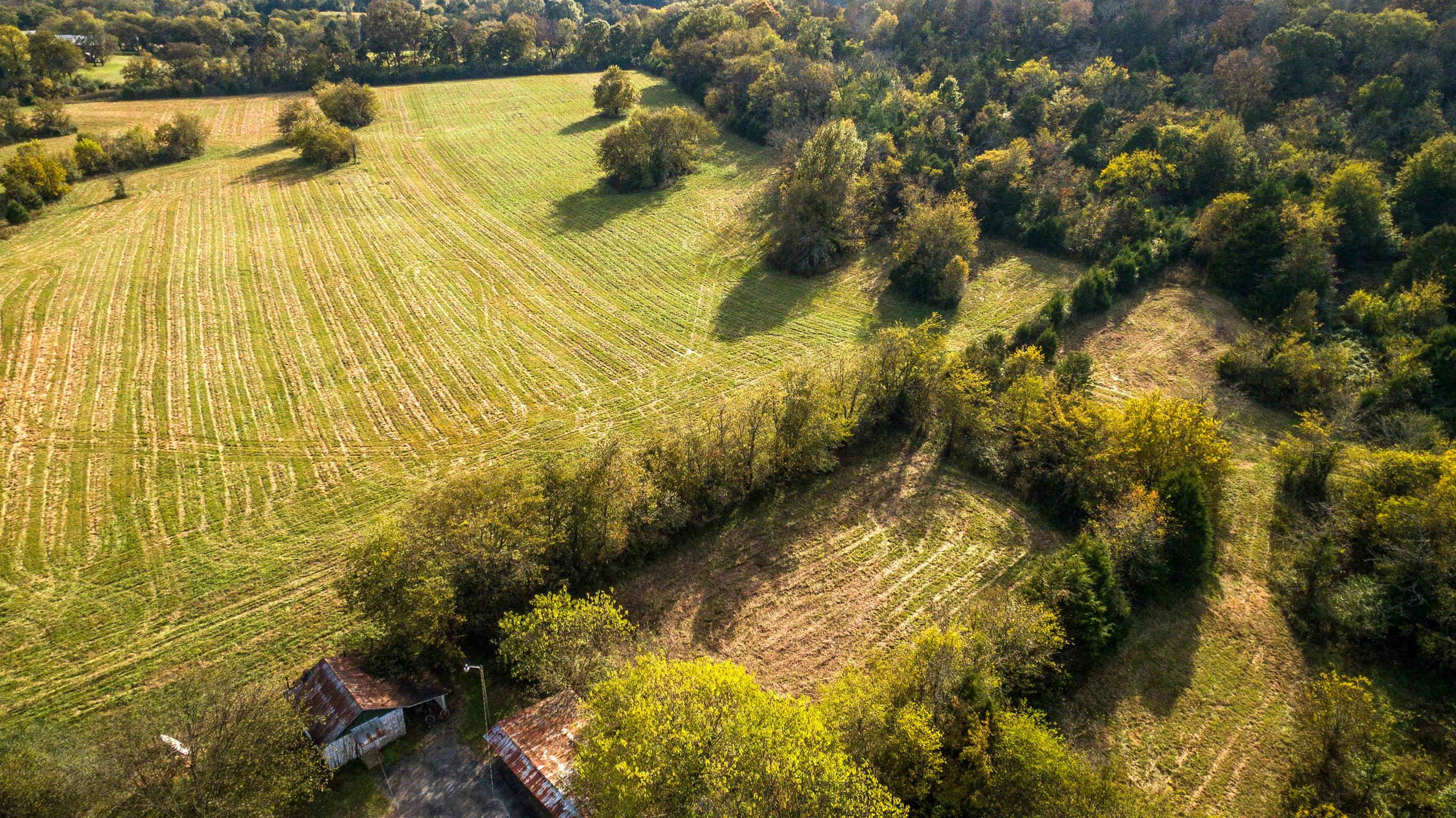 247 Buckeye Loop Lynchburg, TN 37352 - Photo 4 of 21 a view of a lake