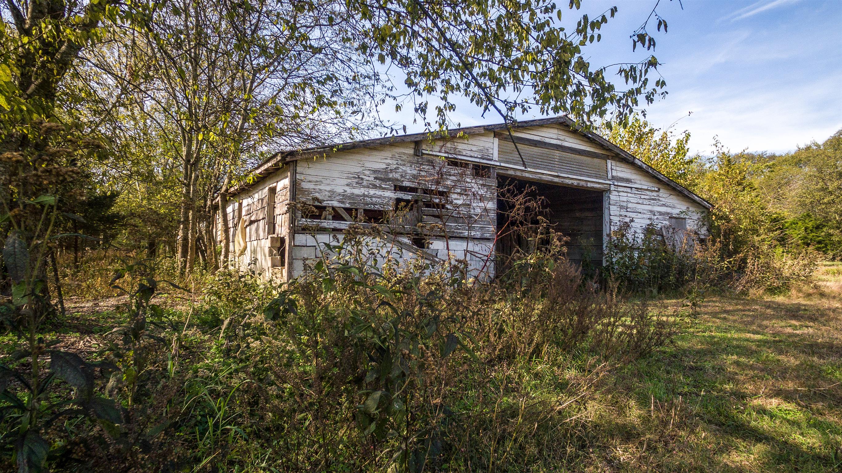 247 Buckeye Loop Lynchburg, TN 37352 - Photo 7 of 21 a backyard of a house with lots of green space