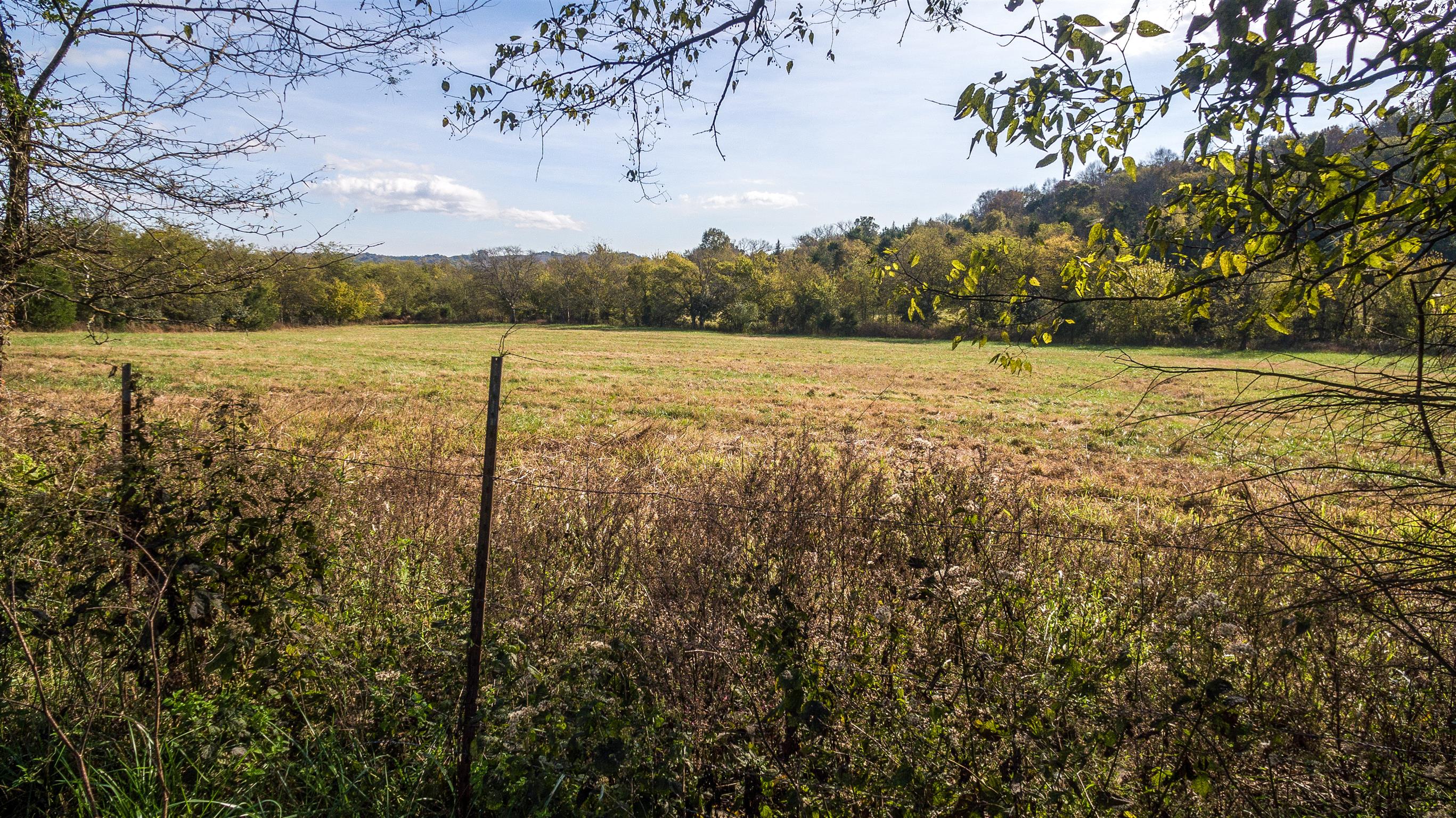 247 Buckeye Loop Lynchburg, TN 37352 - Photo 9 of 21 a view of lake with green space