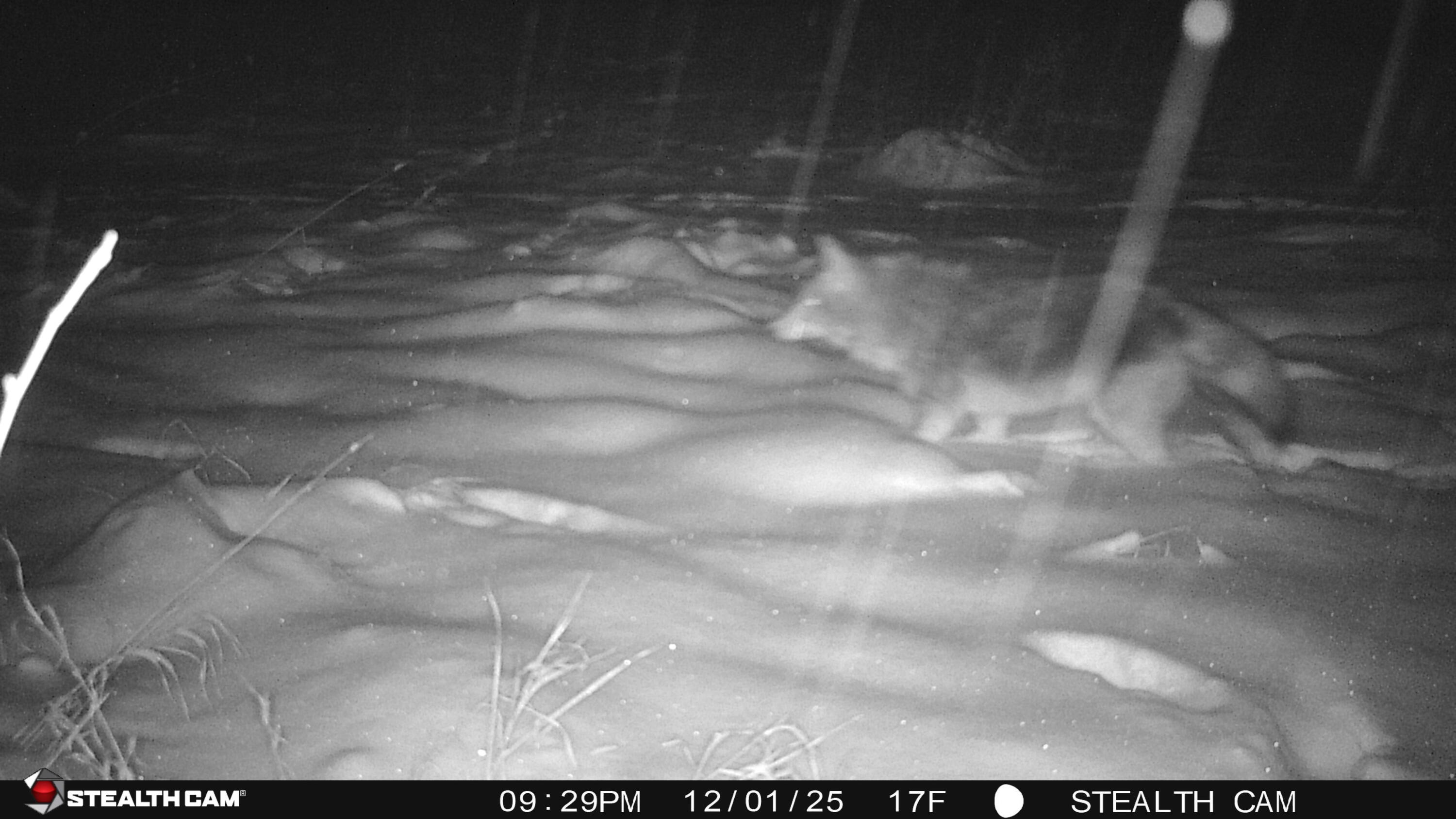W2995 County Rd Y Leroy, WI 53050 - Photo 46 of 48 STC_0017