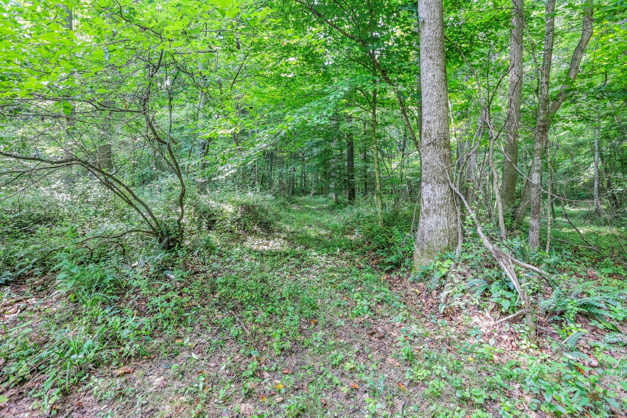 0 Clay Hill Road, Unit LOT 1 Logan, OH 43138 - Photo 10 of 11 LOT 3 WOODS
