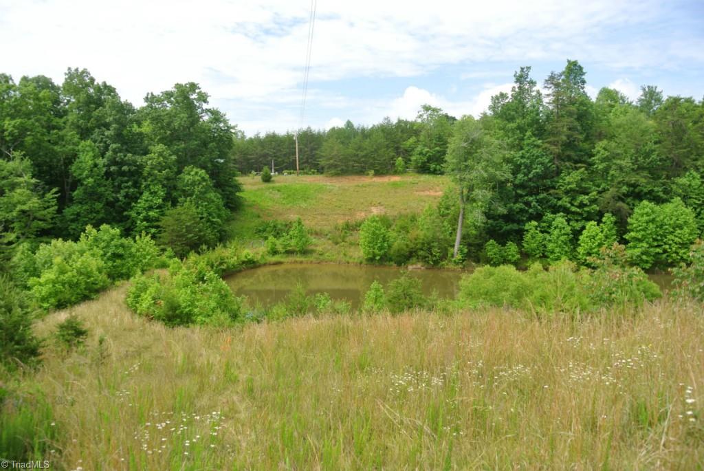 1330 Marshall Ridge Road Pinnacle, NC 27043 - Photo 2 of 24 View of pond on property.