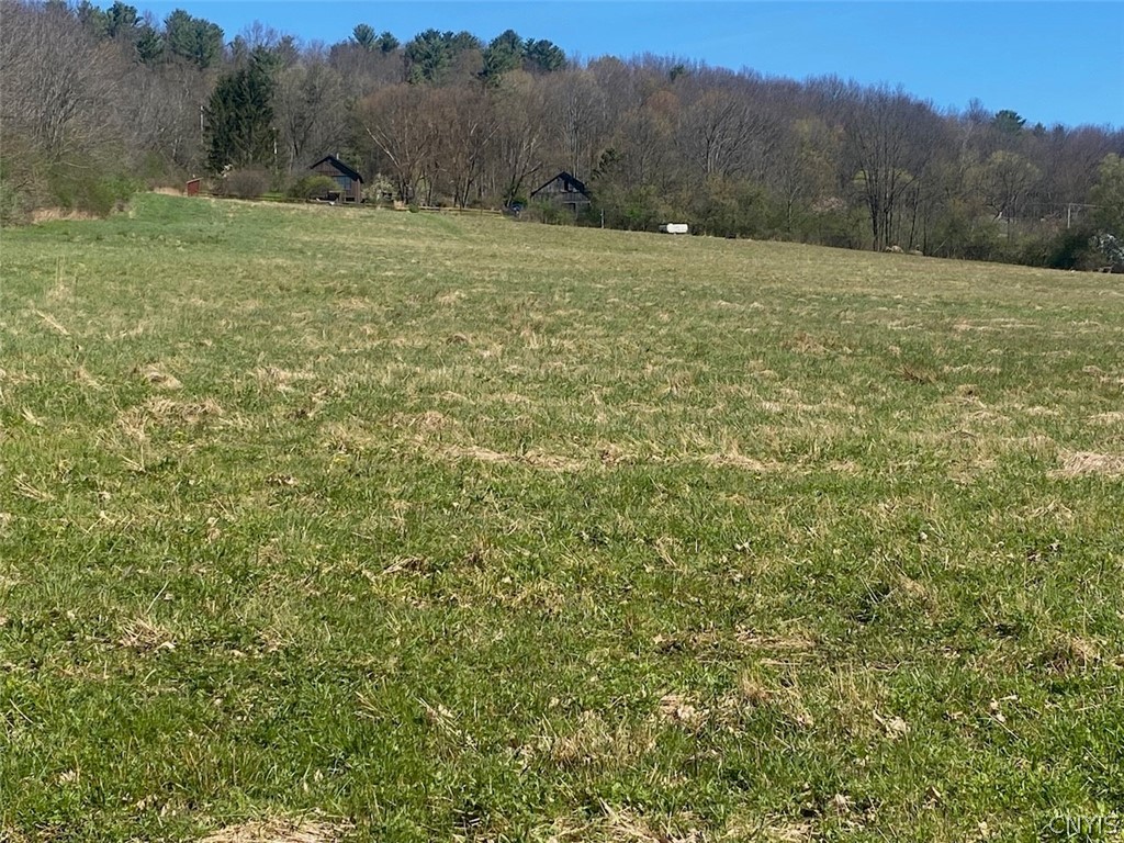 7309 Tibbetts Hill Road Belfast, NY 14739 - Photo 27 of 38