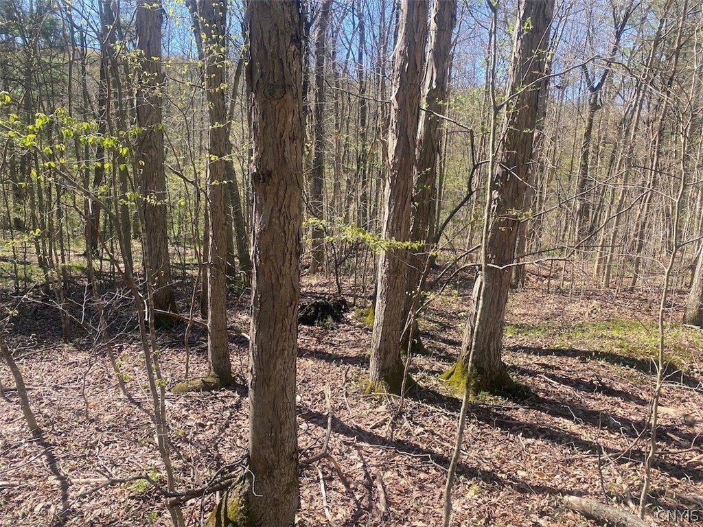 7309 Tibbetts Hill Road Belfast, NY 14739 - Photo 32 of 38