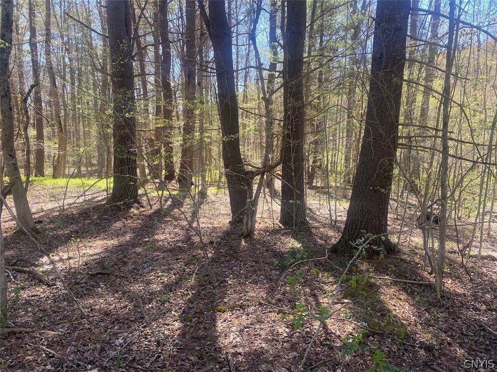 7309 Tibbetts Hill Road Belfast, NY 14739 - Photo 33 of 38