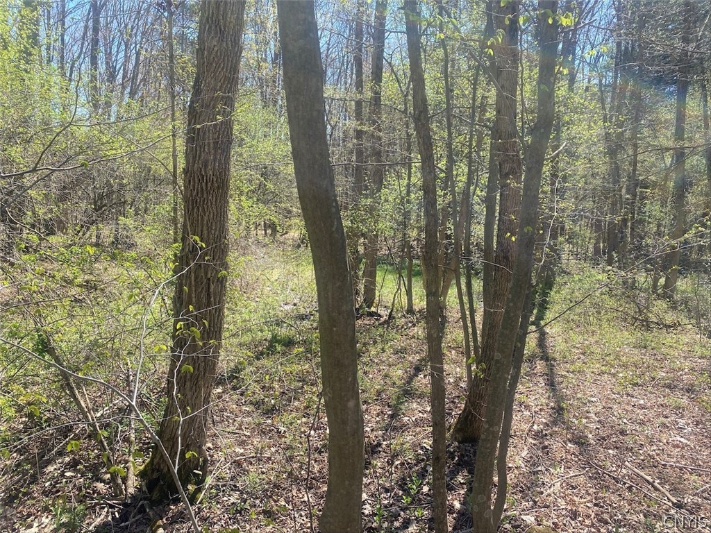 7309 Tibbetts Hill Road Belfast, NY 14739 - Photo 38 of 38