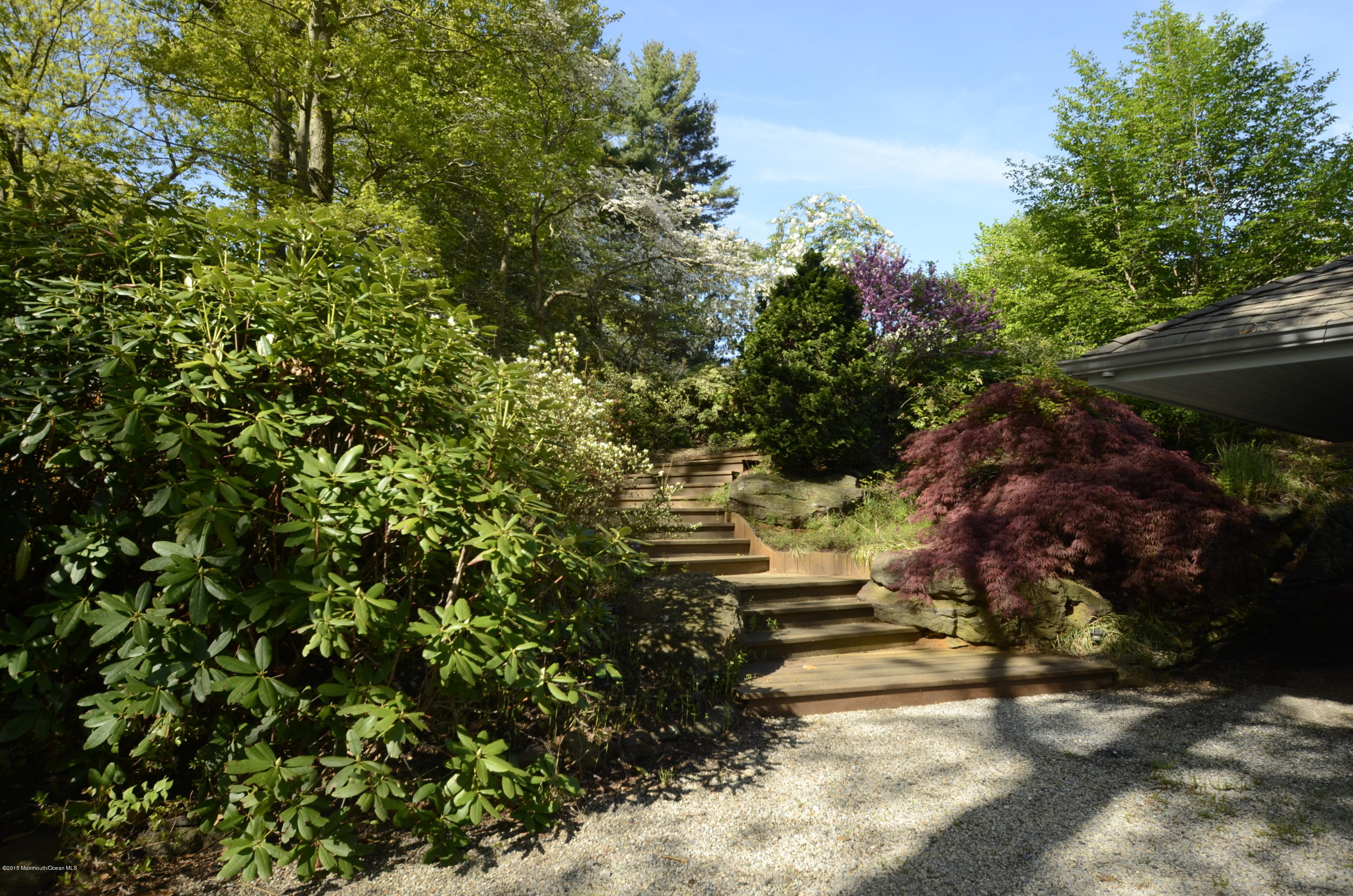 625 Cooper Road Middletown, NJ 07716 - Photo 18 of 20 Specimen Plantings