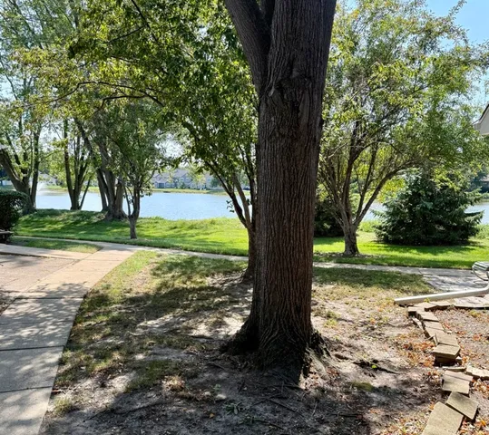 a view of a yard with a tree