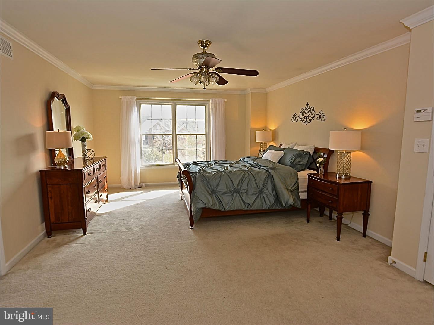 3674 Green Ridge Road Furlong, PA 18925 - Photo 11 of 22 Master Bedroom
