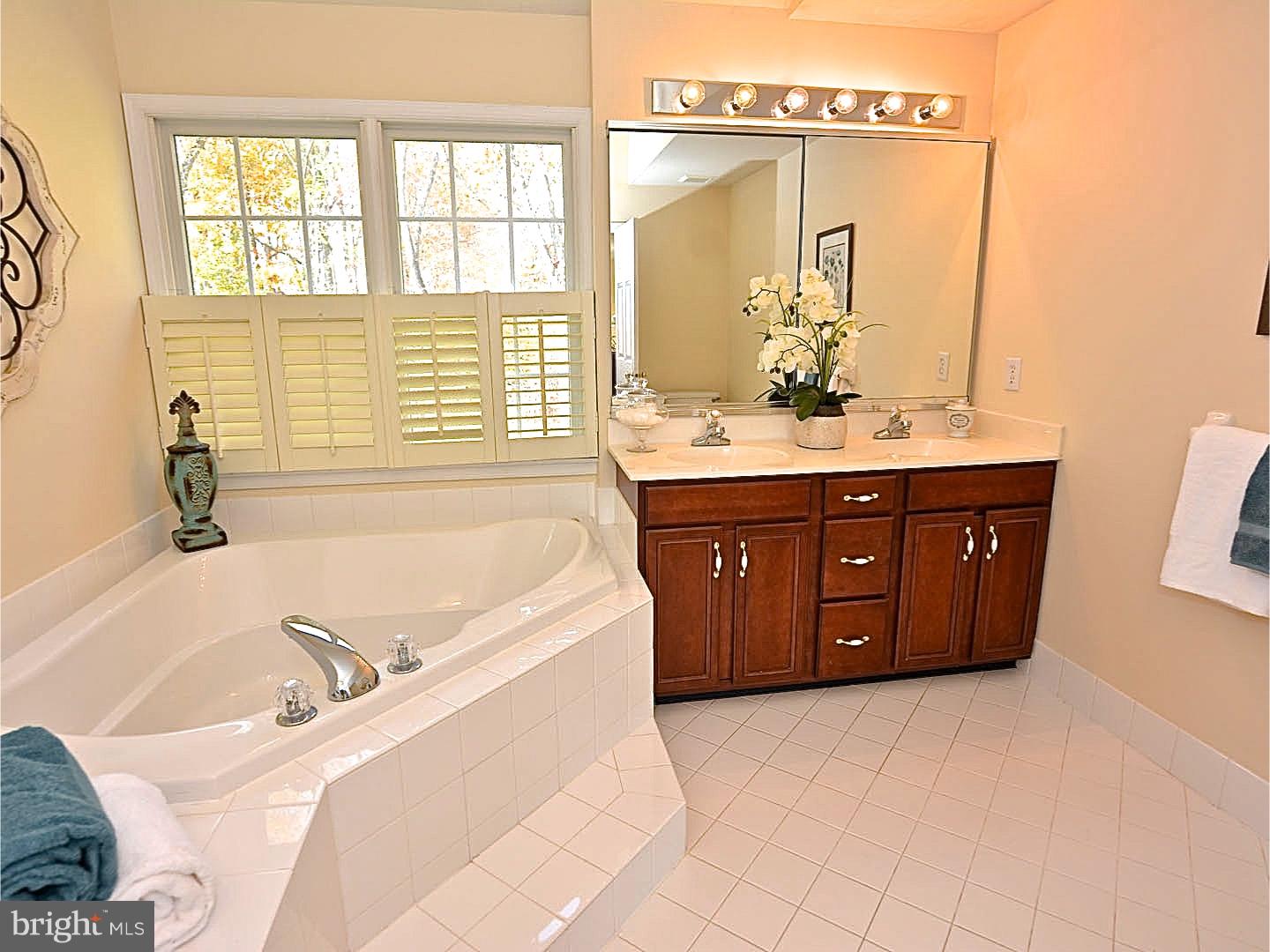 3674 Green Ridge Road Furlong, PA 18925 - Photo 12 of 22 Master Bathroom