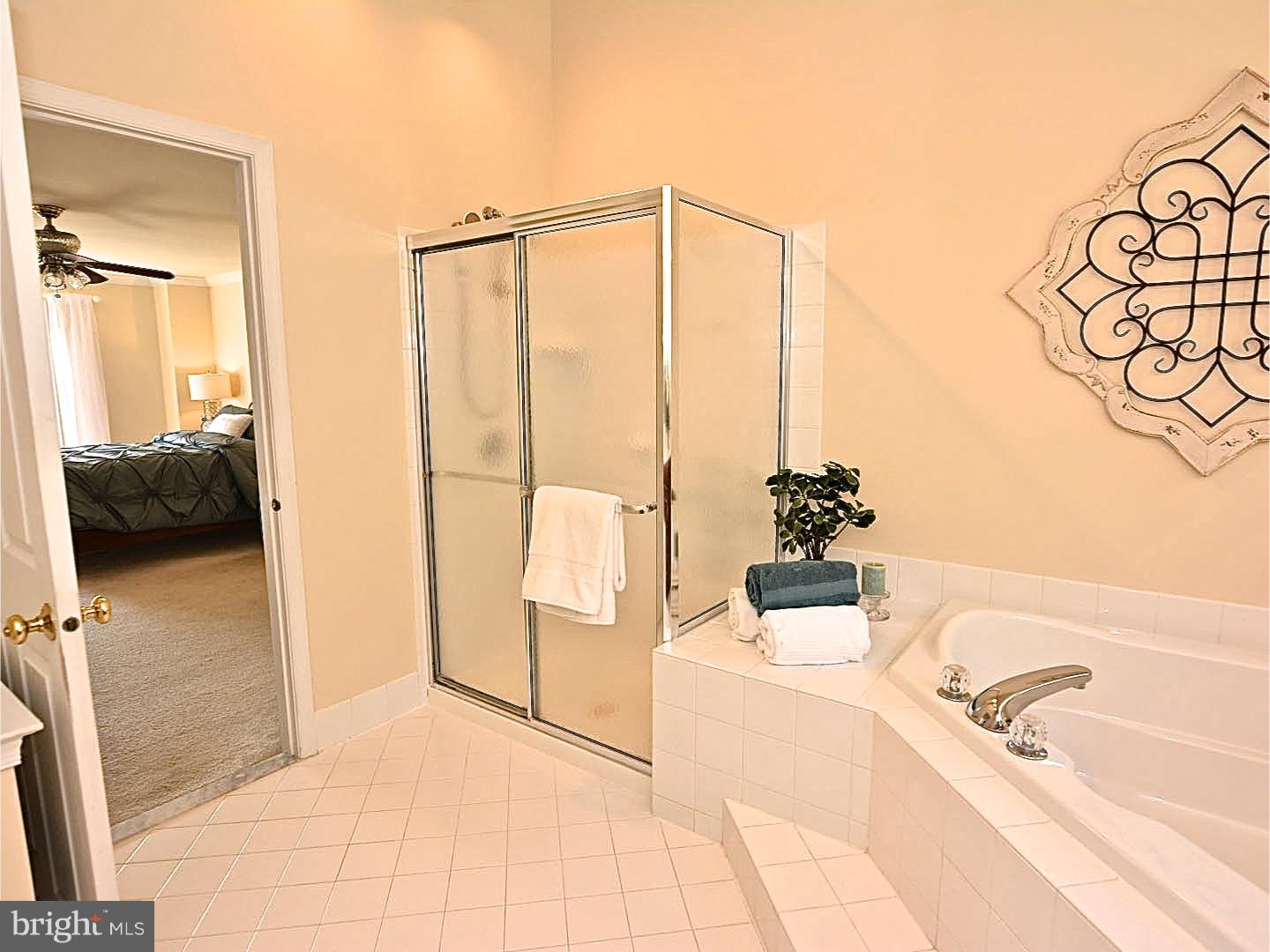 3674 Green Ridge Road Furlong, PA 18925 - Photo 14 of 22 Master Bathroom
