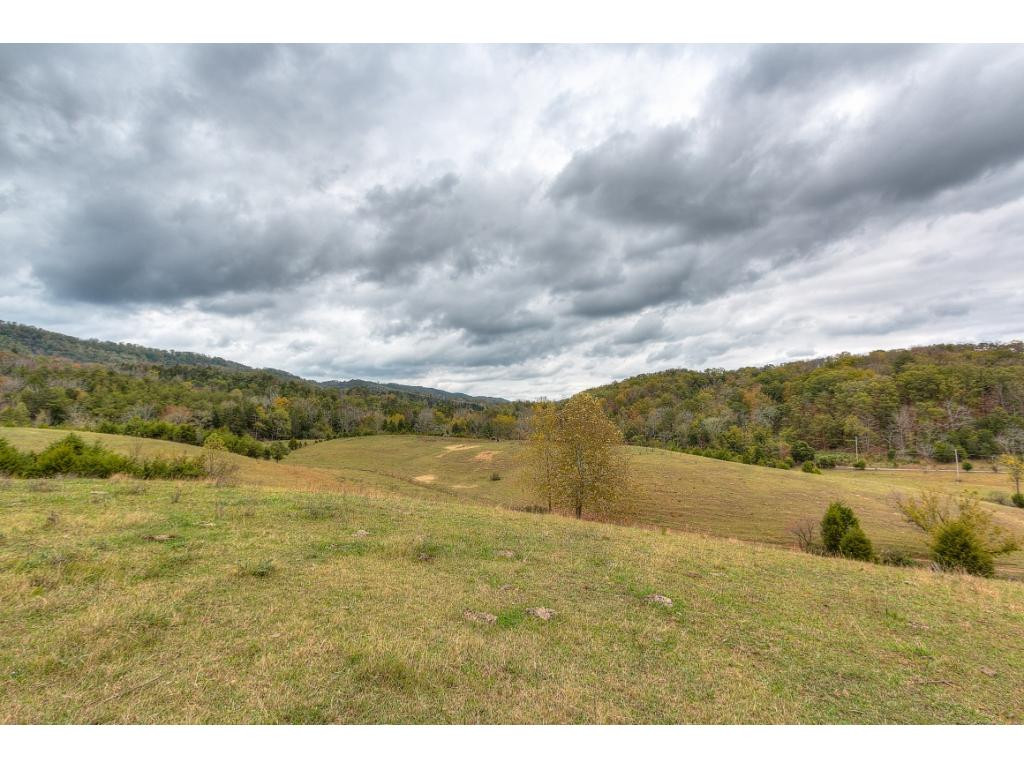 1906 Gap Mountain Road Greeneville, TN 37745 - Photo 28 of 36 Photo 28
