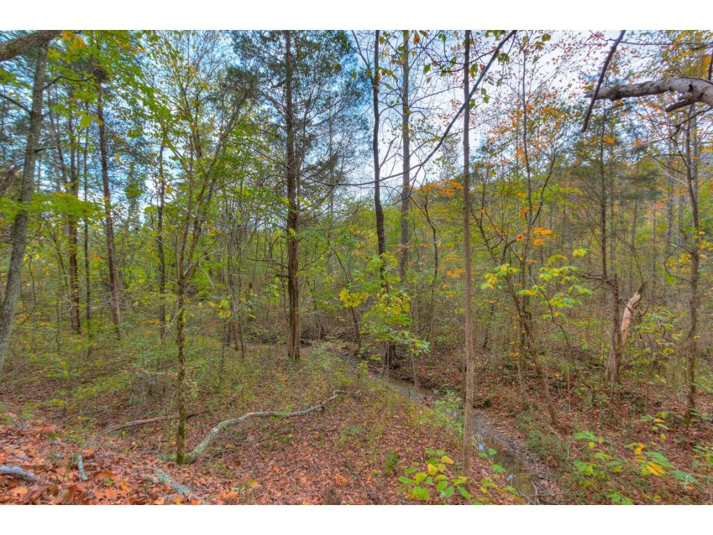 1906 Gap Mountain Road Greeneville, TN 37745 - Photo 33 of 36 Photo 33