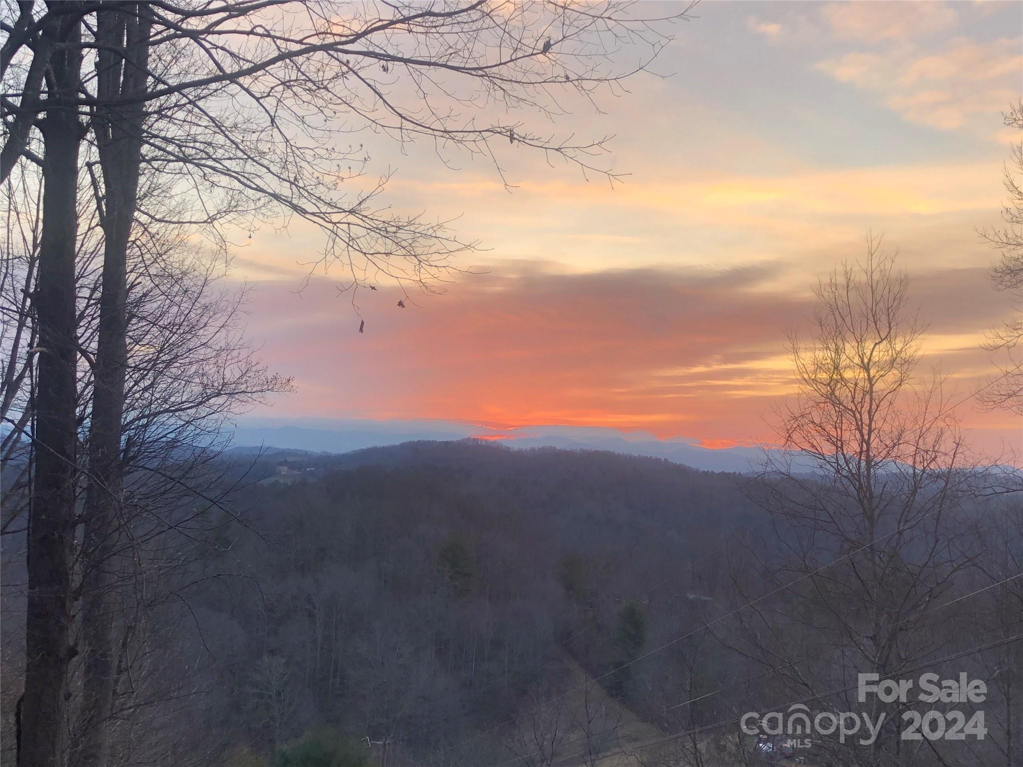 0 Anderson Branch Road Marshall, NC 28753 - Photo 1 of 32