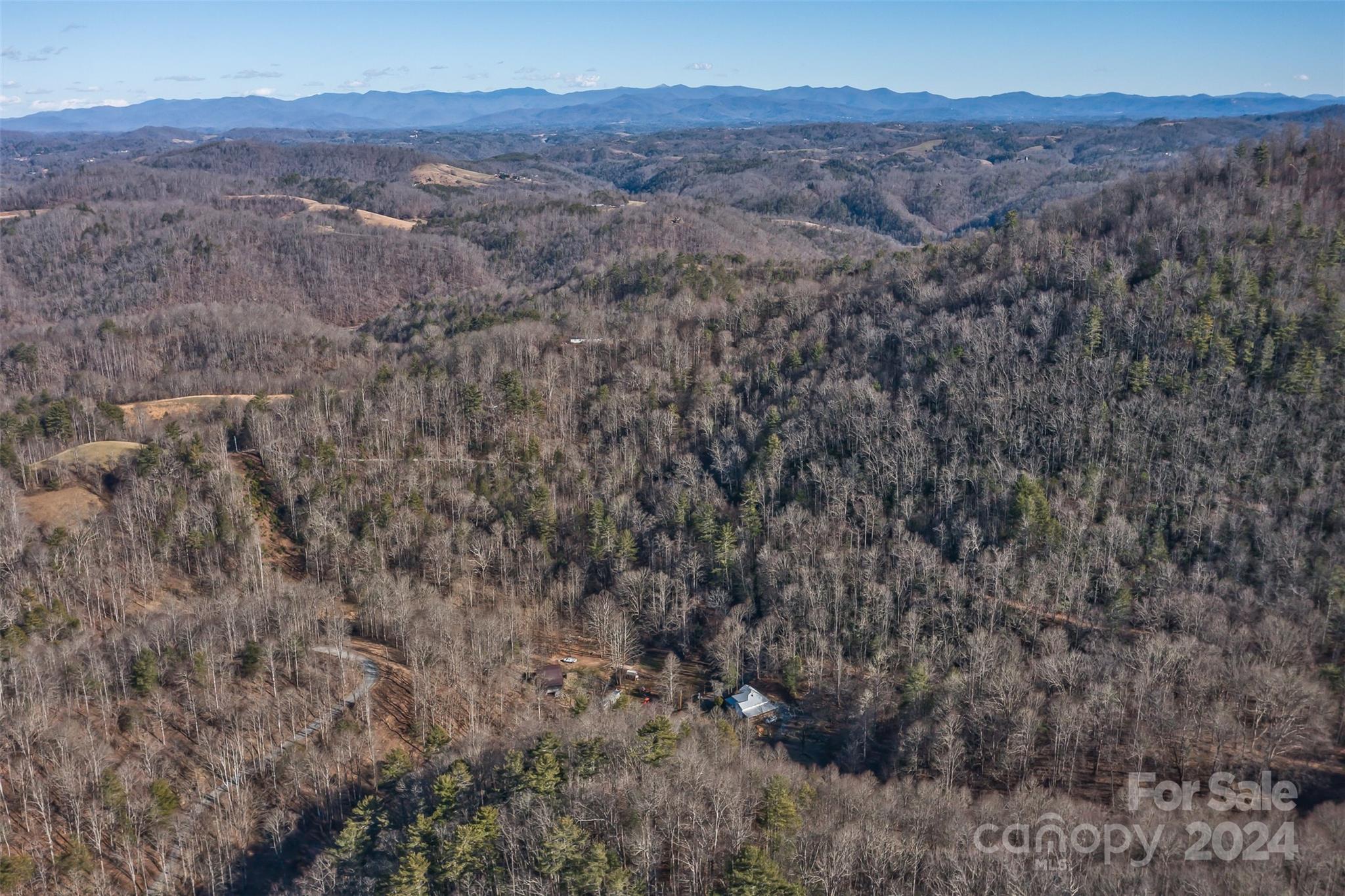 0 Anderson Branch Road Marshall, NC 28753 - Photo 11 of 32