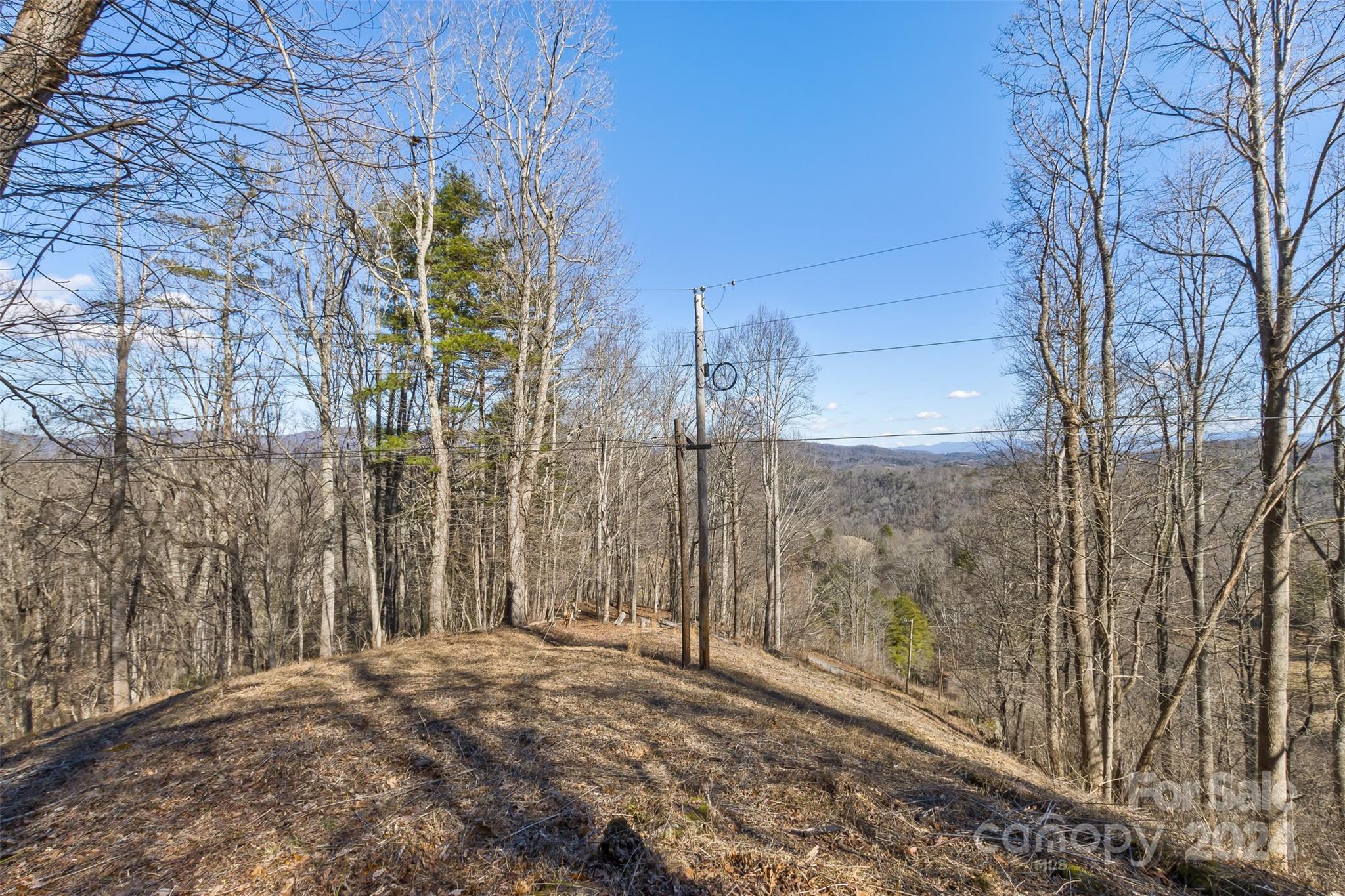 0 Anderson Branch Road Marshall, NC 28753 - Photo 15 of 32