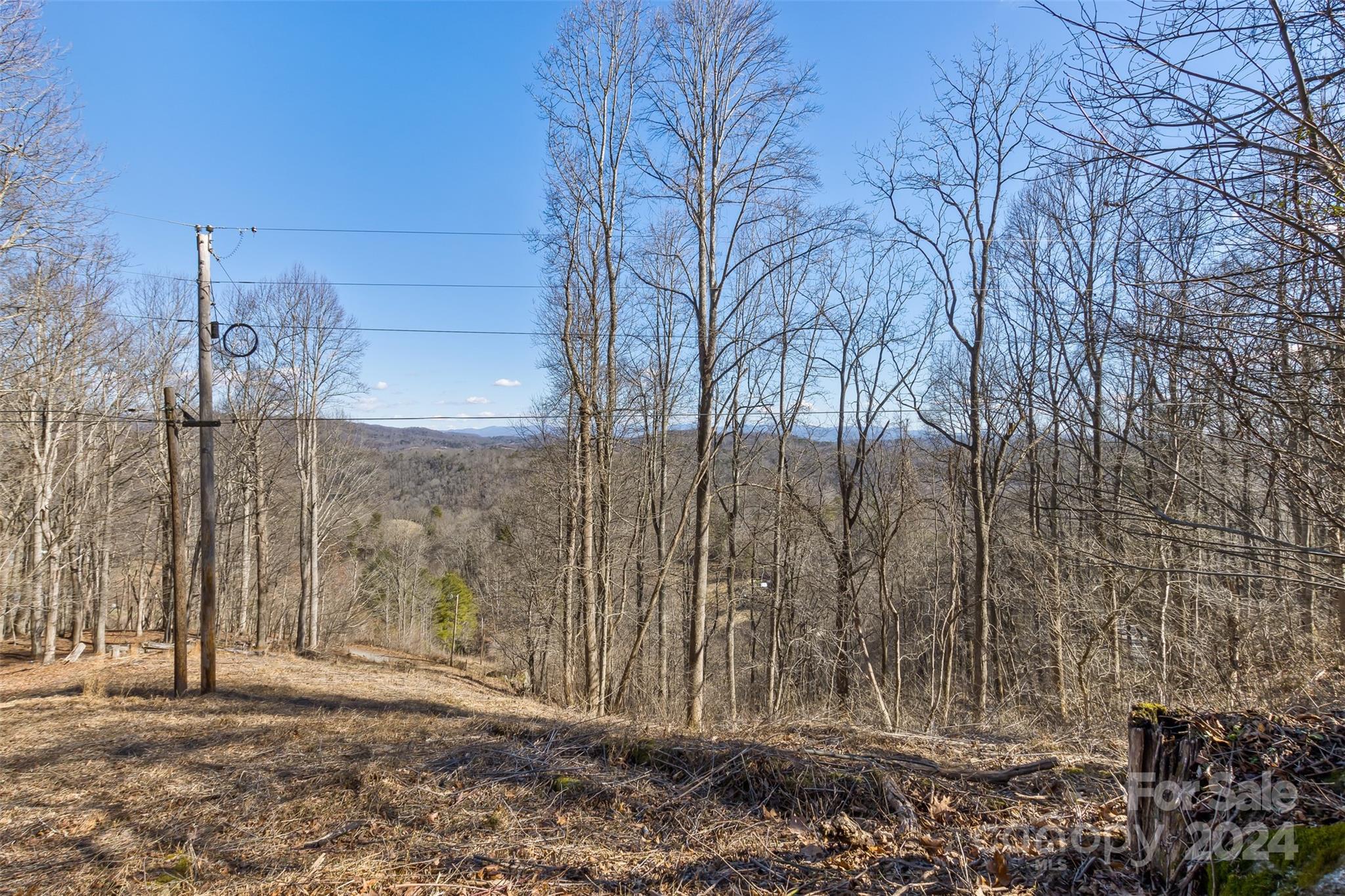 0 Anderson Branch Road Marshall, NC 28753 - Photo 16 of 32