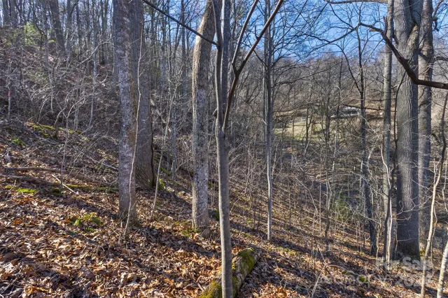 $54,000 | 0 Anderson Branch Road, Marshall, NC 28753