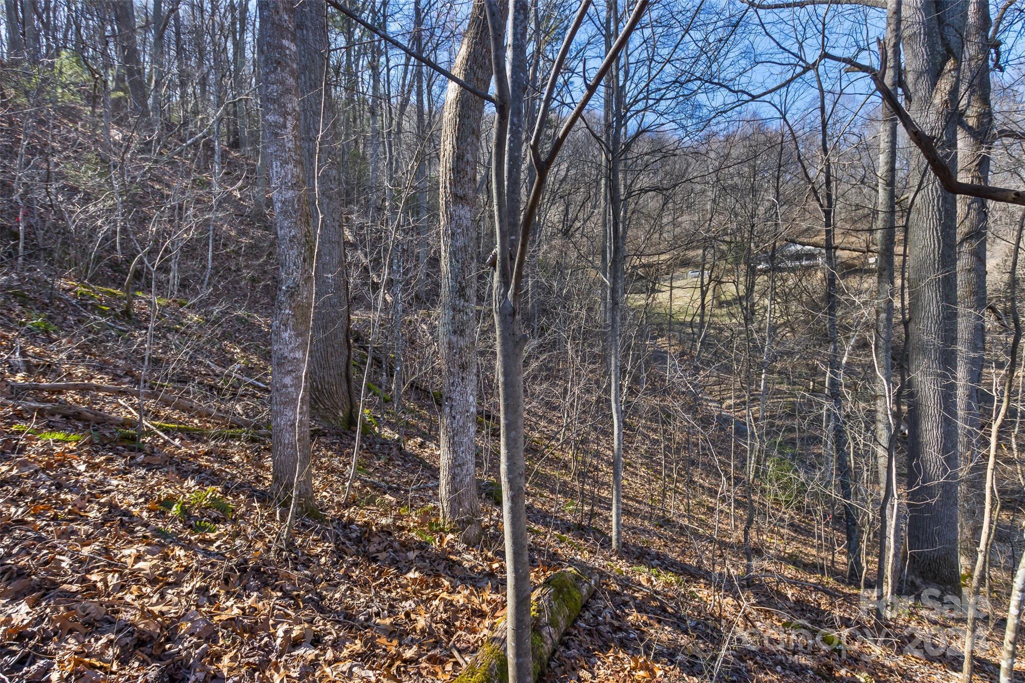 0 Anderson Branch Road Marshall, NC 28753 - Photo 17 of 32