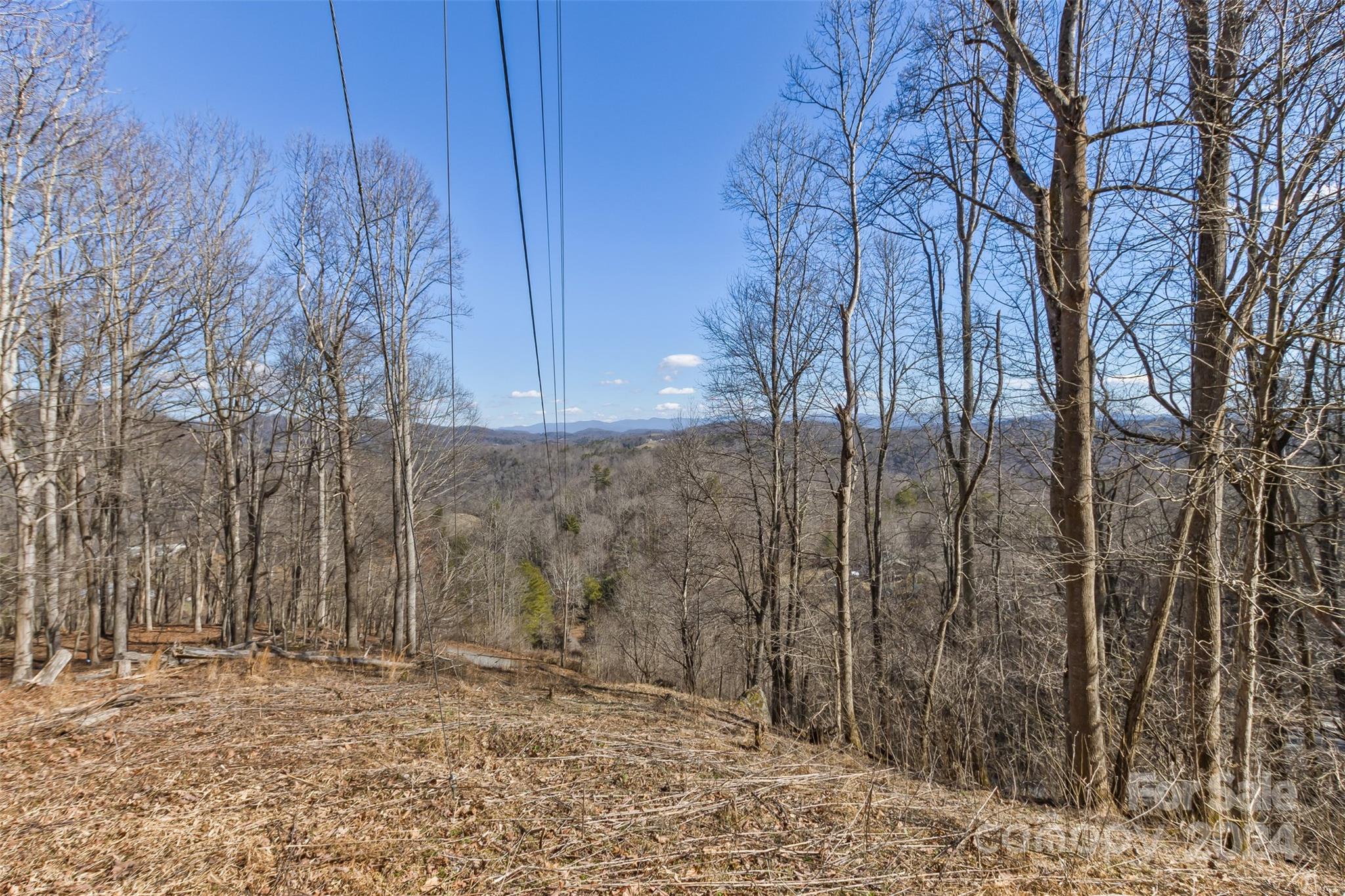 0 Anderson Branch Road Marshall, NC 28753 - Photo 18 of 32