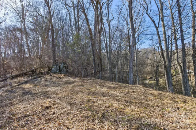 $54,000 | 0 Anderson Branch Road, Marshall, NC 28753