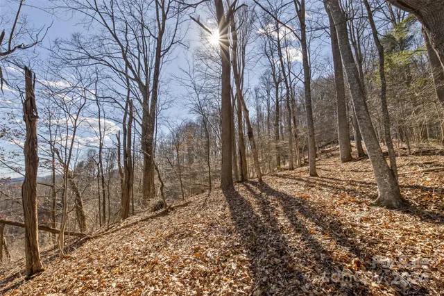 $54,000 | 0 Anderson Branch Road, Marshall, NC 28753