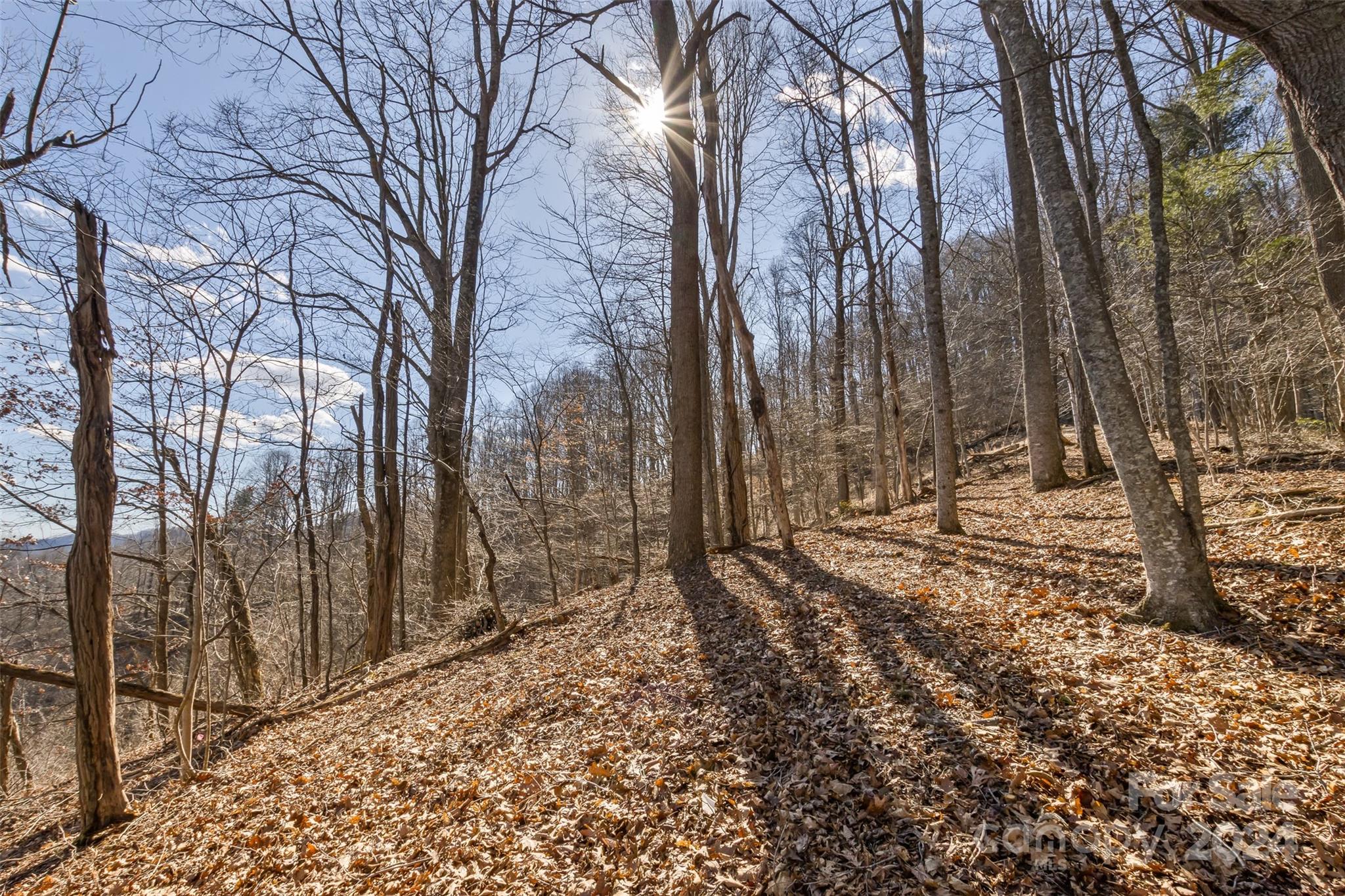 0 Anderson Branch Road Marshall, NC 28753 - Photo 20 of 32