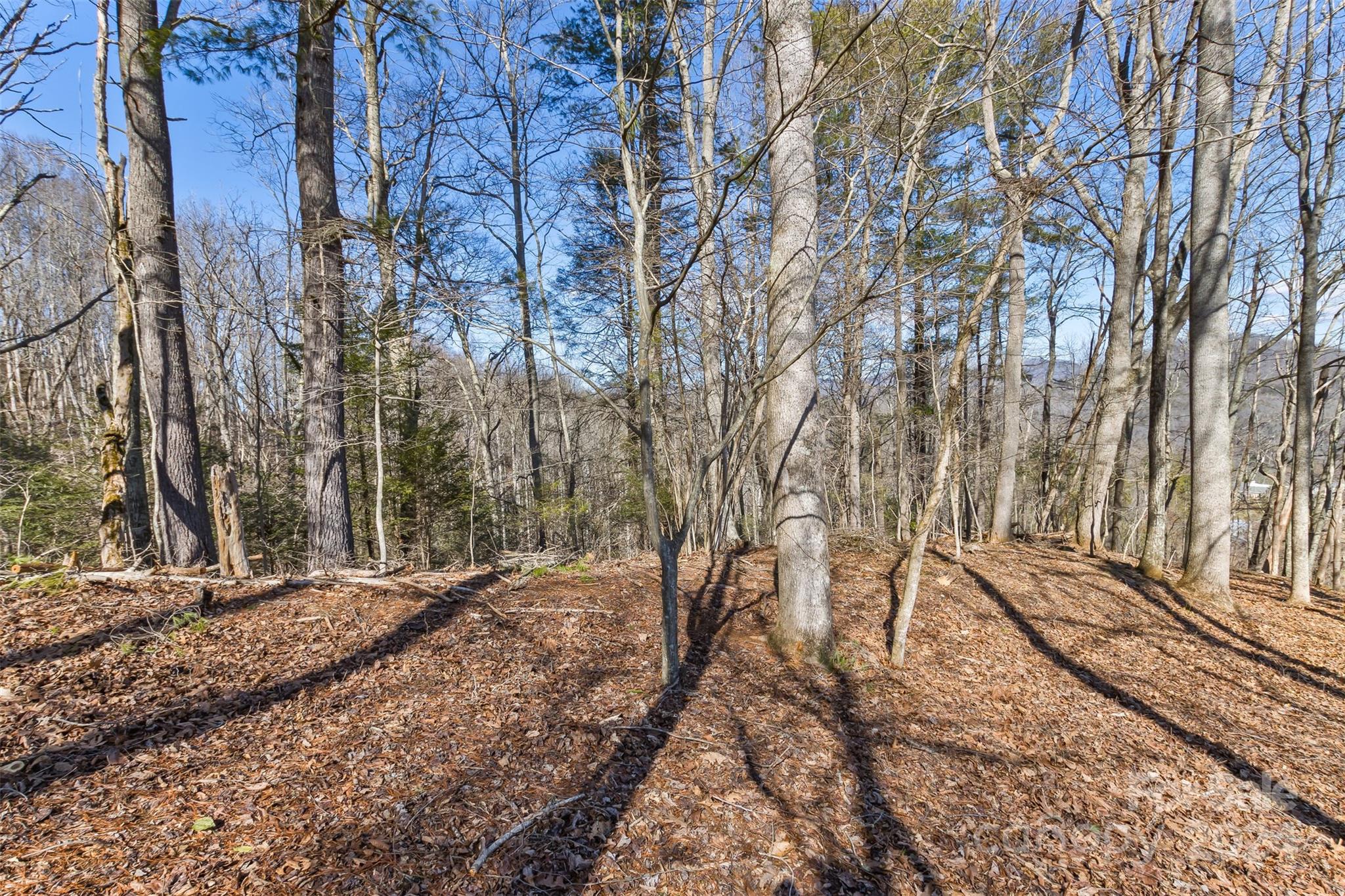 0 Anderson Branch Road Marshall, NC 28753 - Photo 22 of 32