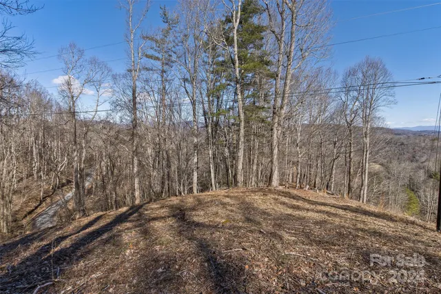 $54,000 | 0 Anderson Branch Road, Marshall, NC 28753