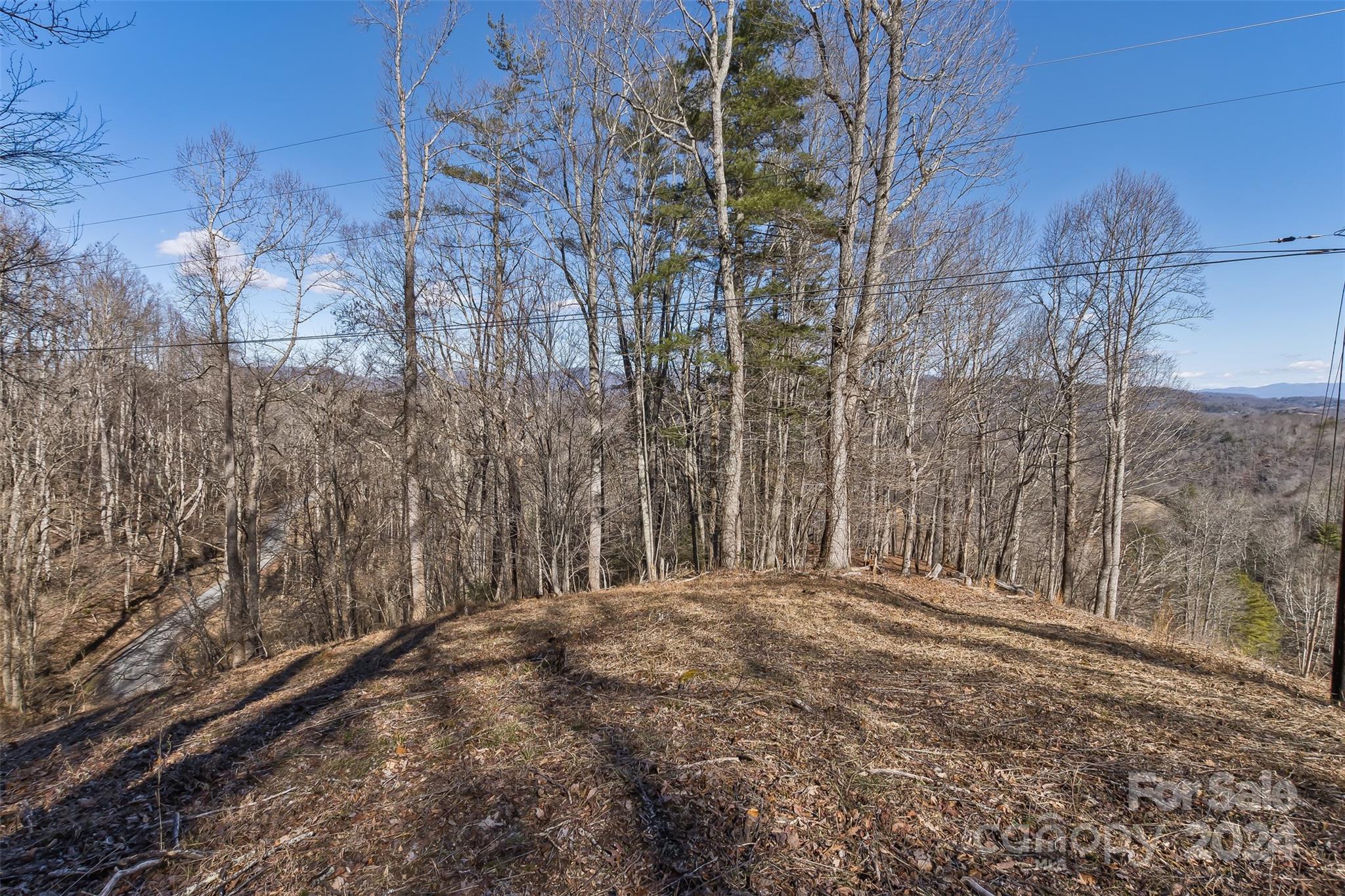 0 Anderson Branch Road Marshall, NC 28753 - Photo 24 of 32