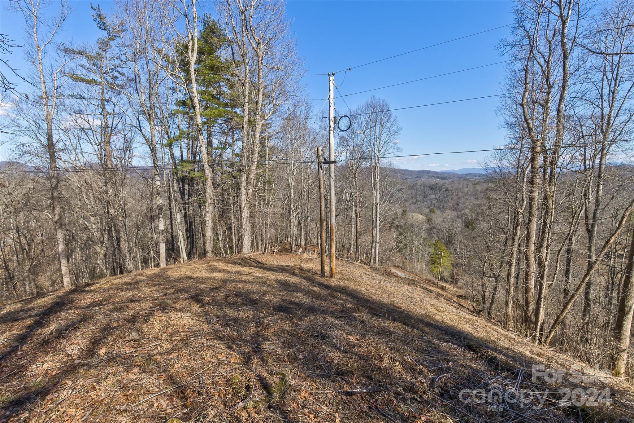 0 Anderson Branch Road Marshall, NC 28753 - Photo 25 of 32