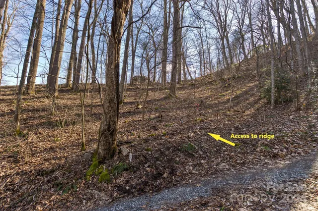 $54,000 | 0 Anderson Branch Road, Marshall, NC 28753