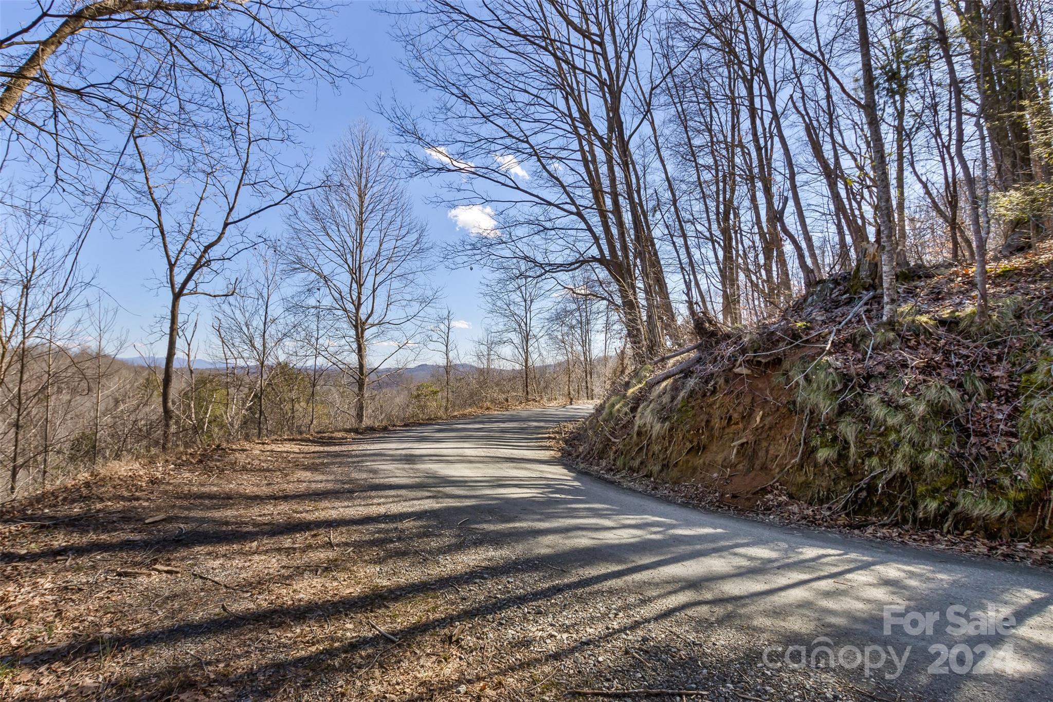 0 Anderson Branch Road Marshall, NC 28753 - Photo 29 of 32