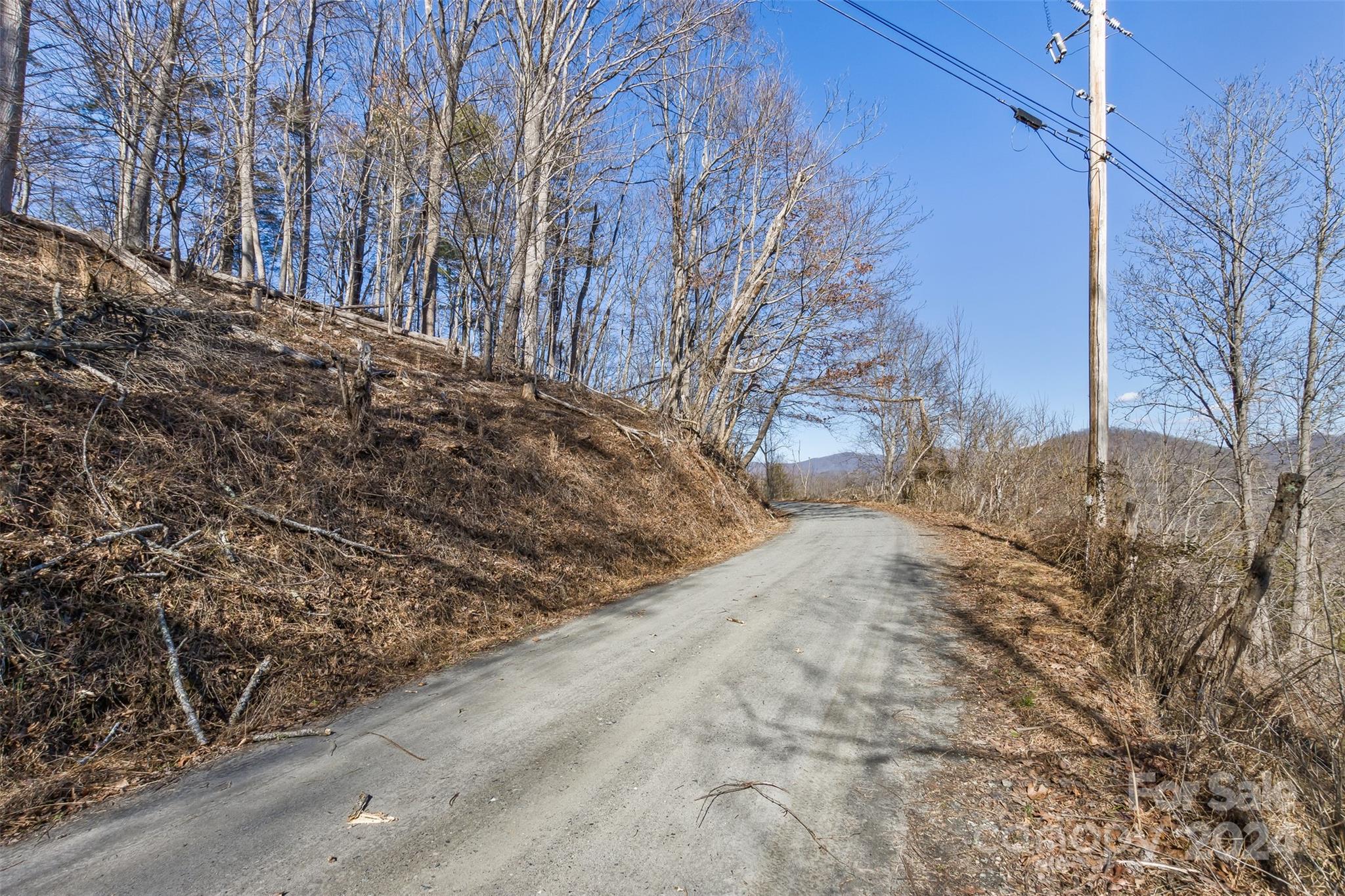 0 Anderson Branch Road Marshall, NC 28753 - Photo 30 of 32