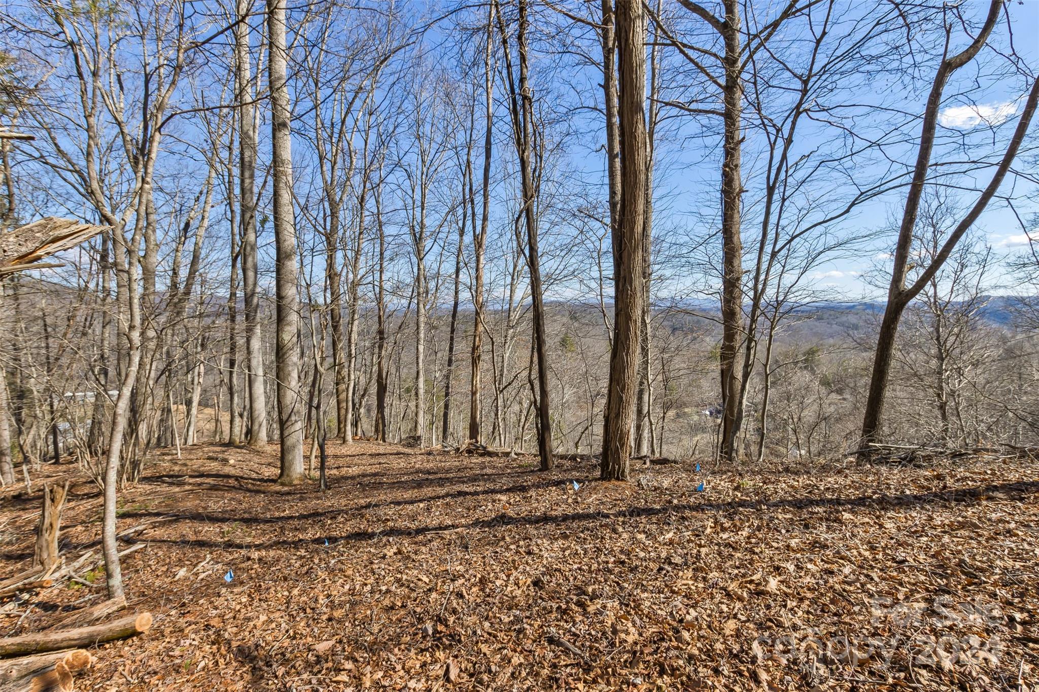 0 Anderson Branch Road Marshall, NC 28753 - Photo 3 of 32