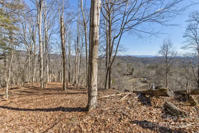 $54,000 | 0 Anderson Branch Road, Marshall, NC 28753