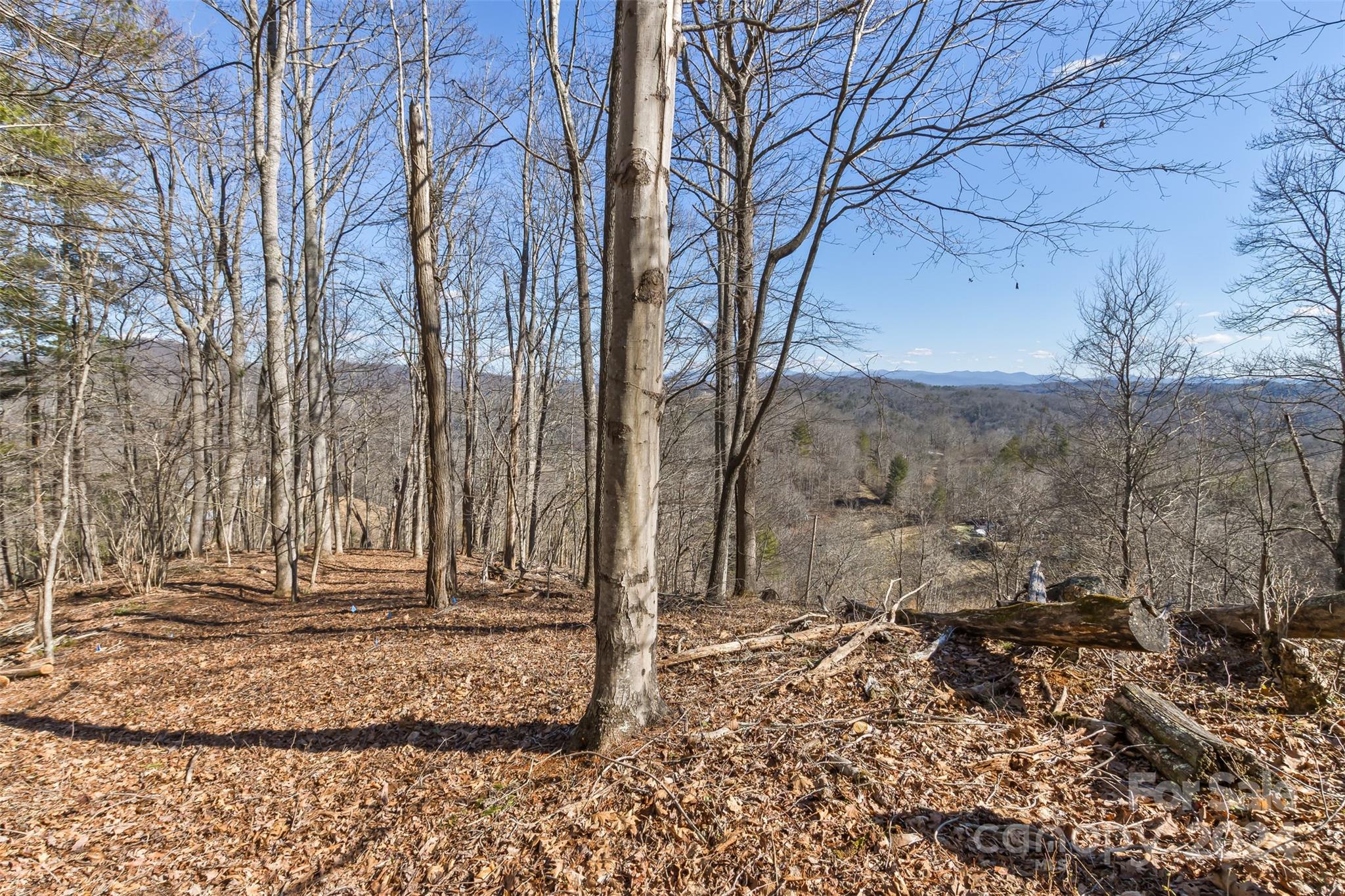 0 Anderson Branch Road Marshall, NC 28753 - Photo 4 of 32