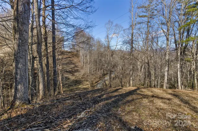 $54,000 | 0 Anderson Branch Road, Marshall, NC 28753