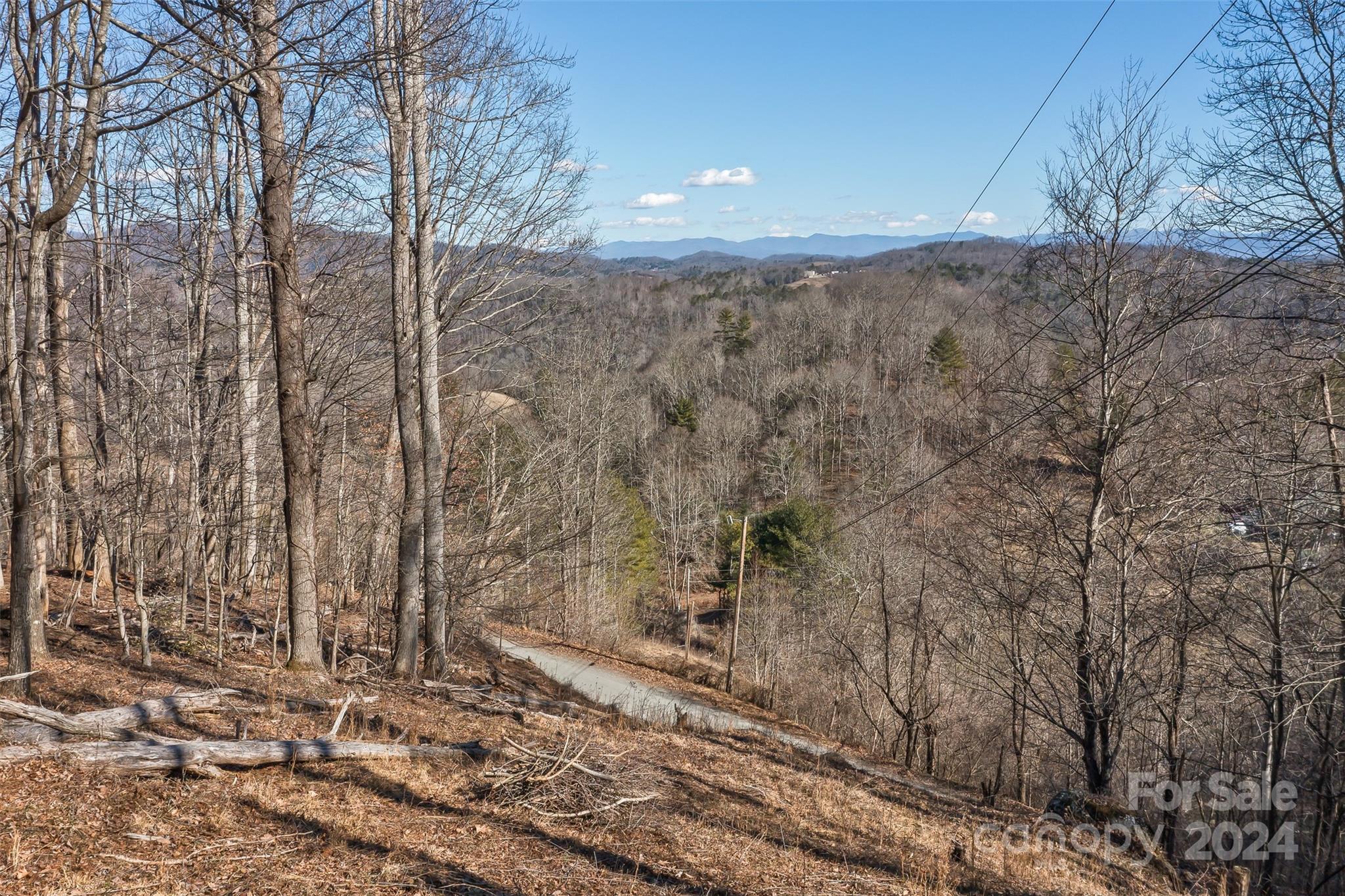 0 Anderson Branch Road Marshall, NC 28753 - Photo 6 of 32