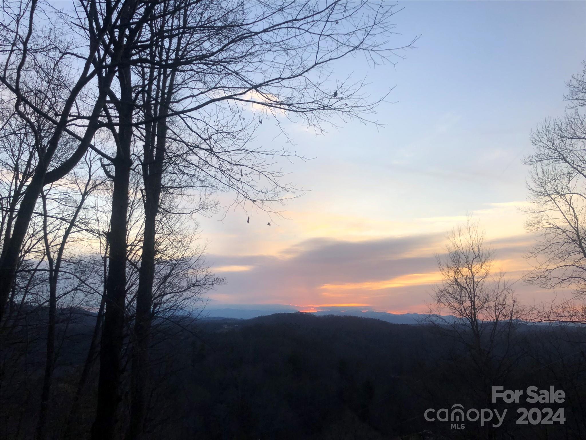 0 Anderson Branch Road Marshall, NC 28753 - Photo 7 of 32