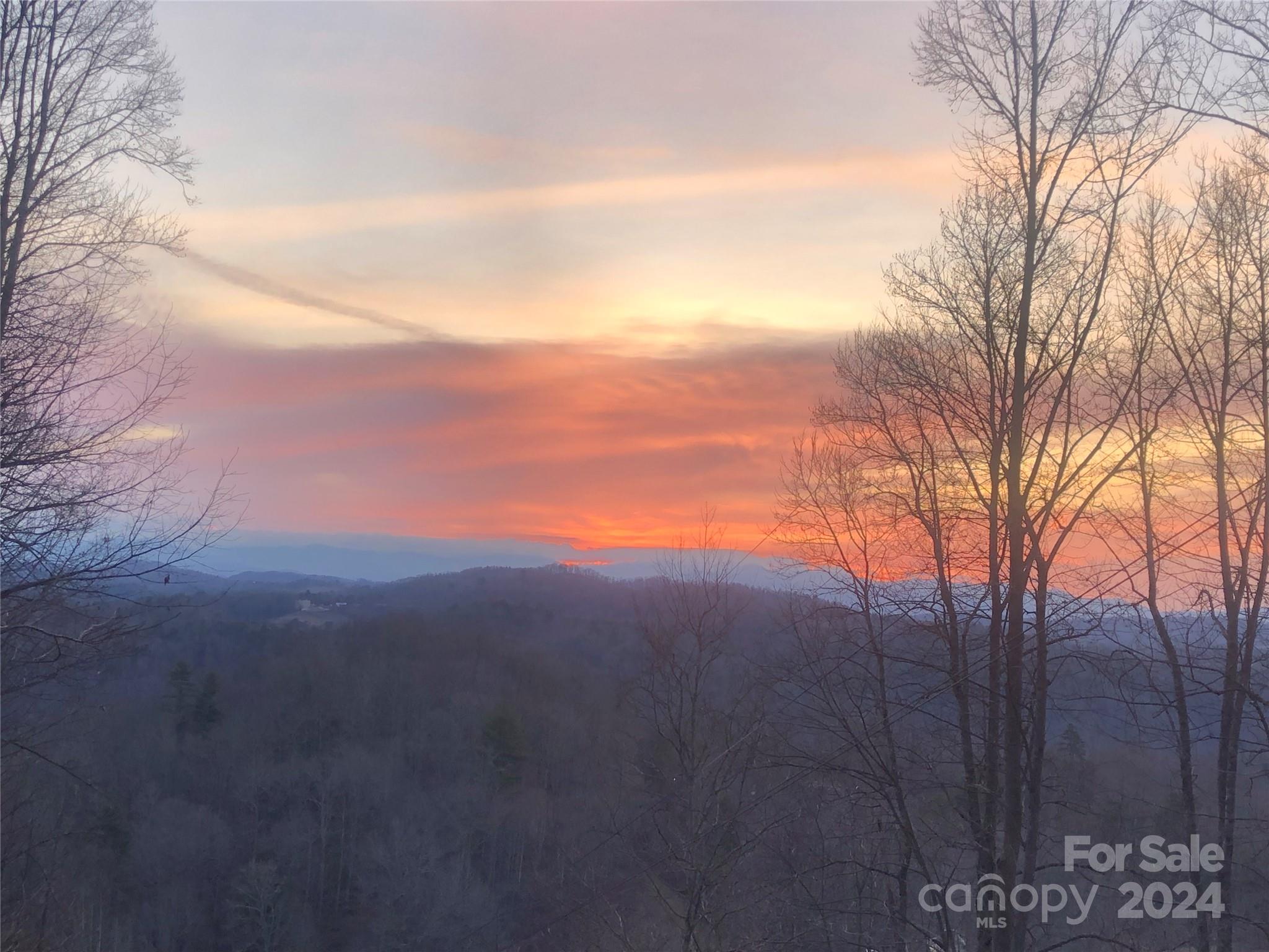 0 Anderson Branch Road Marshall, NC 28753 - Photo 8 of 32