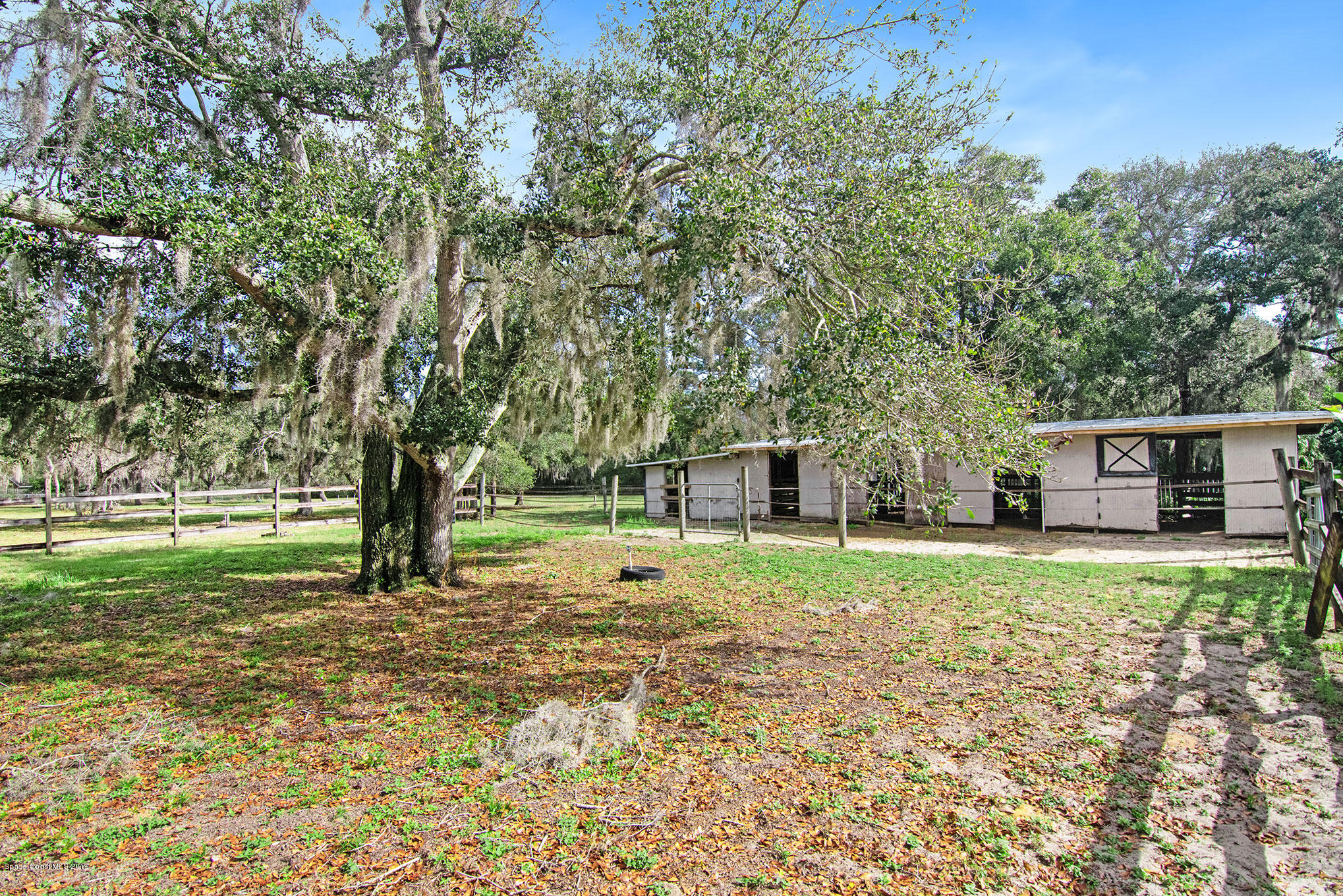 3600 Carter Road Mims, FL 32754 - Photo 40 of 45 DSC_0095