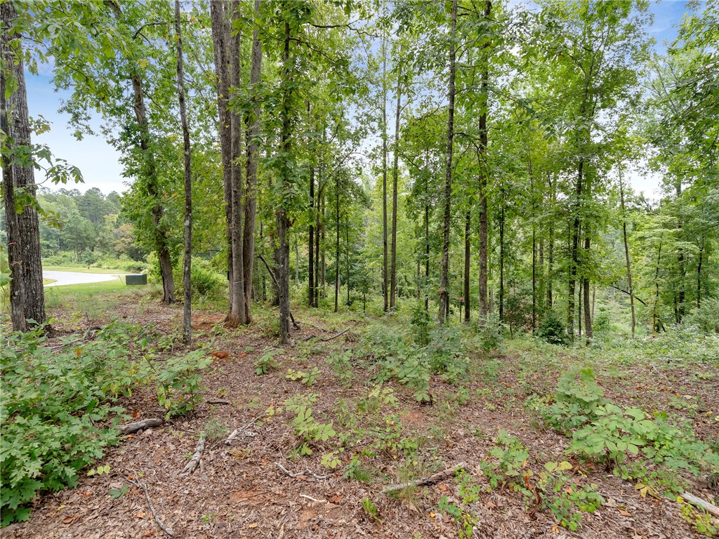 119 Sandy Hollow Six Mile, SC 29682 - Photo 11 of 17