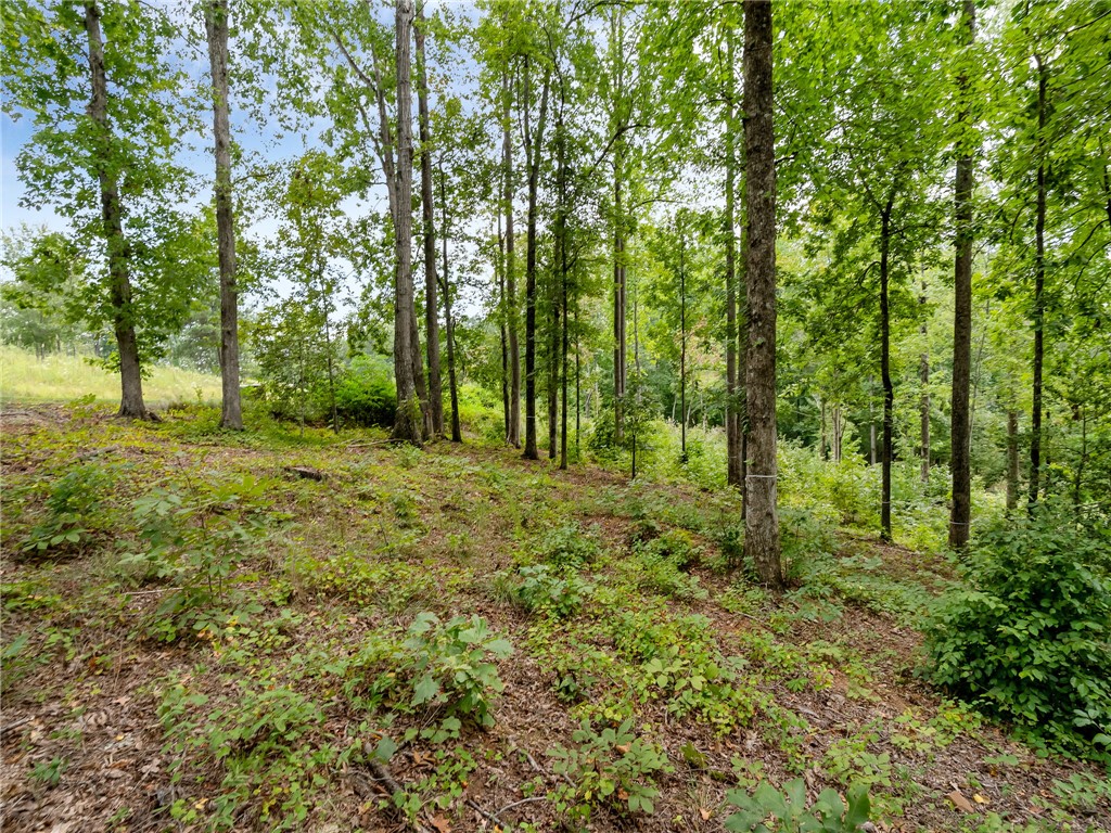 119 Sandy Hollow Six Mile, SC 29682 - Photo 13 of 17