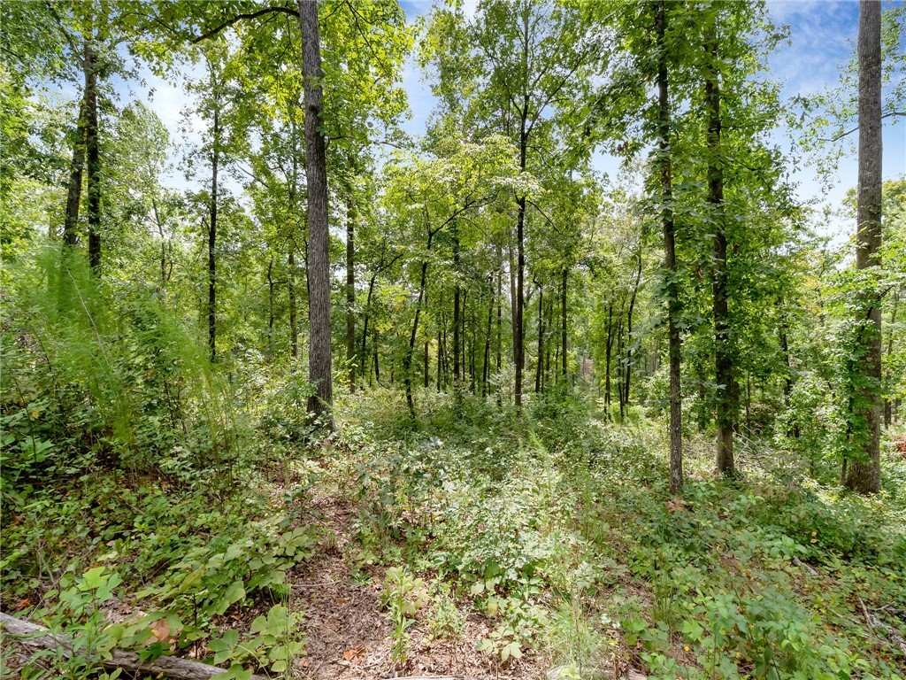 119 Sandy Hollow Six Mile, SC 29682 - Photo 15 of 17