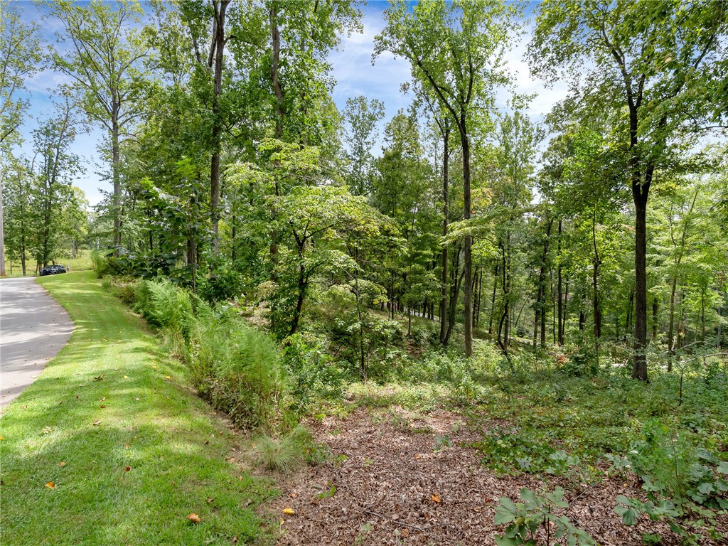 119 Sandy Hollow Six Mile, SC 29682 - Photo 16 of 17