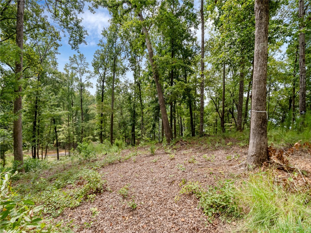 119 Sandy Hollow Six Mile, SC 29682 - Photo 17 of 17