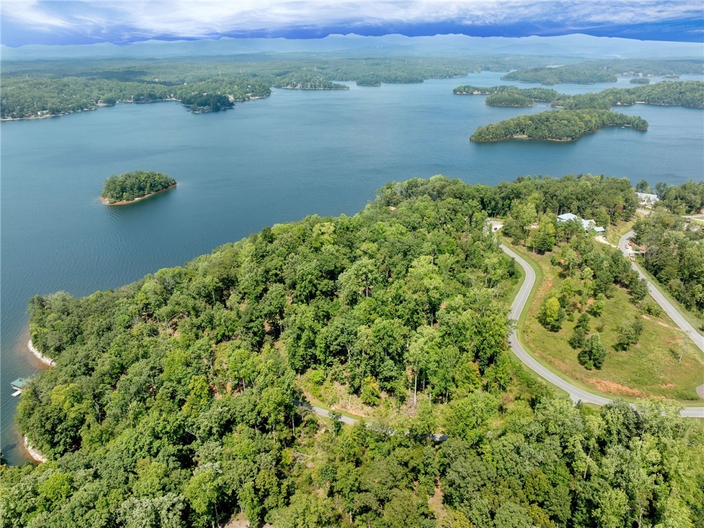 119 Sandy Hollow Six Mile, SC 29682 - Photo 4 of 17