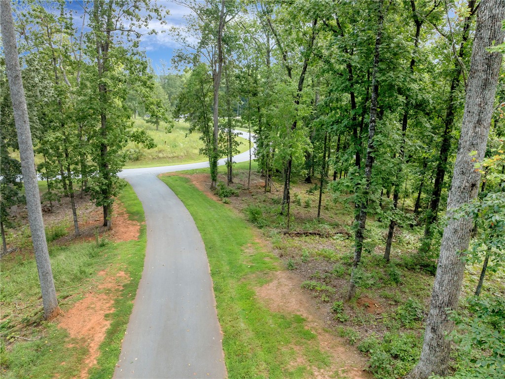 119 Sandy Hollow Six Mile, SC 29682 - Photo 7 of 17
